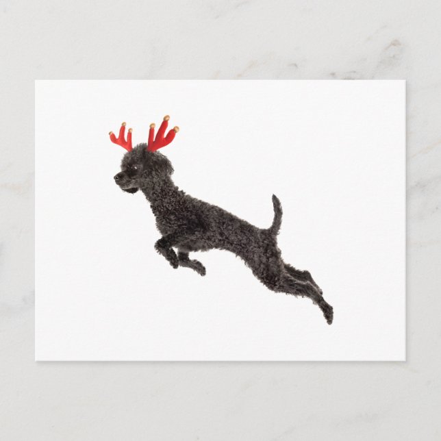 Postal Festiva Navidades Black Toy Poodle Perros Reindeer Antlers (Anverso)