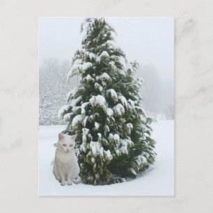 Postal Festiva Navidades blancos