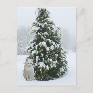 Postal Festiva Navidades blancos