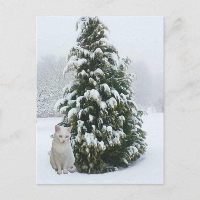 Postal Festiva Navidades blancos (Anverso)