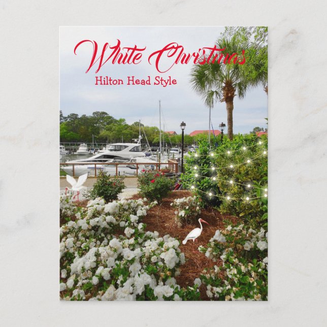 Postal Festiva Navidades blancos Hilton Head Style! Carolina del  (Anverso)