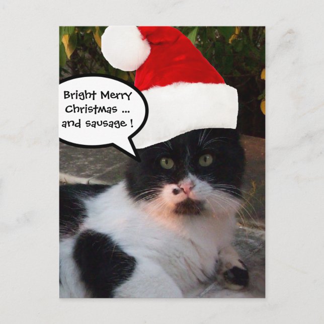 Postal Festiva Navidades BLANCOS NEGROS GATO CON GORRA DE SANTA C (Anverso)