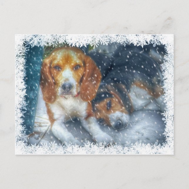 Postal Festiva Navidades Brothers (Anverso)