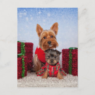 Postal Festiva Navidades Buddies