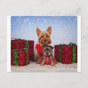 Postal Festiva Navidades Buddies