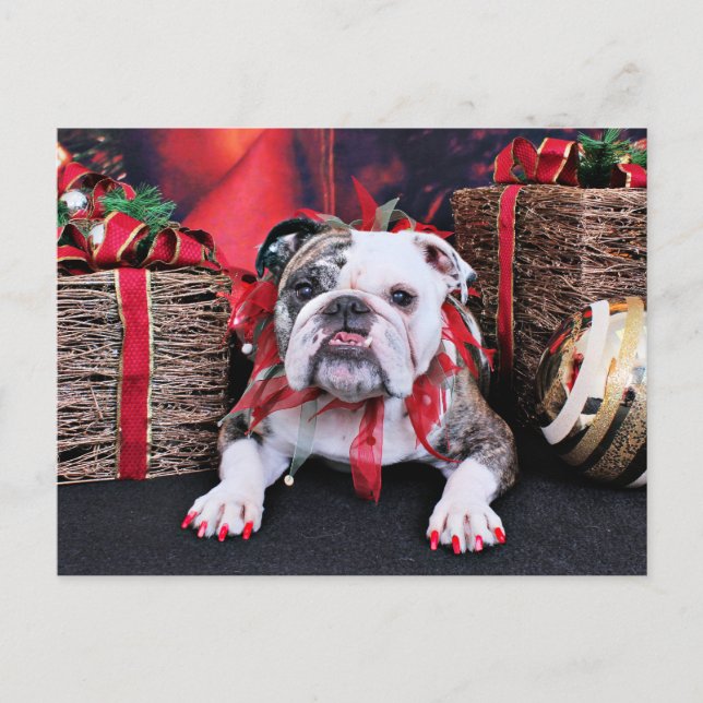 Postal Festiva Navidades - Bulldog - Delilah (Anverso)