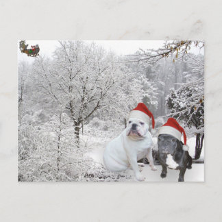 POSTAL FESTIVA NAVIDADES BULLDOGES 1
