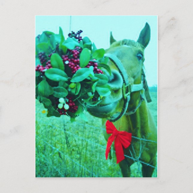 Postal Festiva Navidades Caballo Verde azulado Mistletoe (Anverso)
