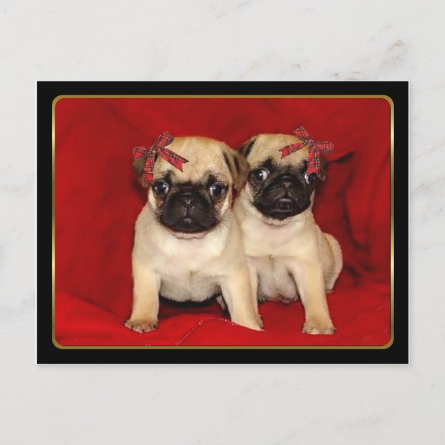 Postal Festiva Navidades cachorros (Anverso)