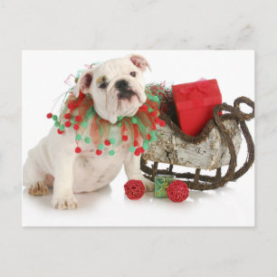 Postal Festiva Navidades Cachorros - Bulldog Inglés Sentado De Ca