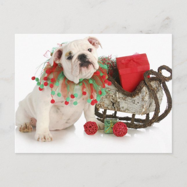 Postal Festiva Navidades Cachorros - Bulldog Inglés Sentado De Ca (Anverso)
