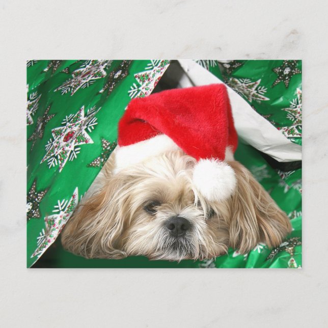 Postal Festiva Navidades cansados Shih Tzu (Anverso)