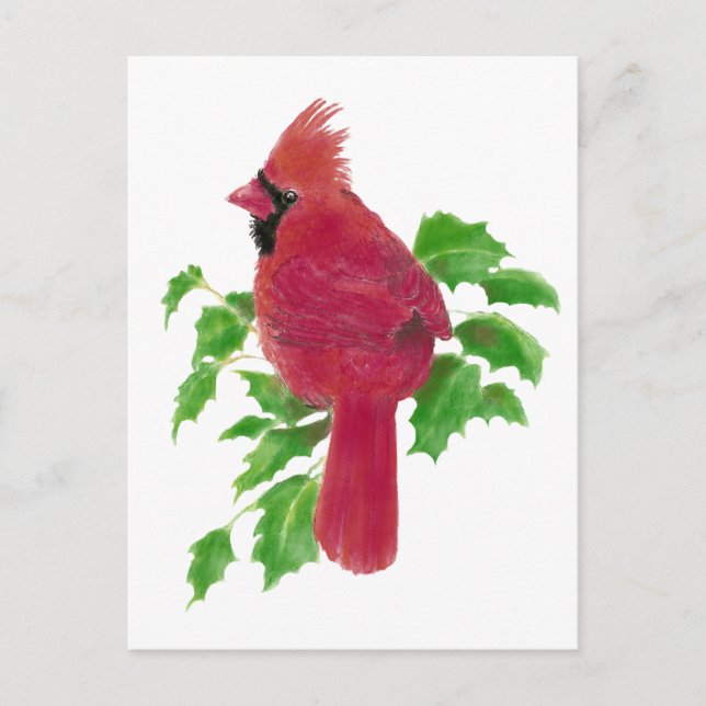 Postal Festiva Navidades Cardinal Bird Nature Wildlife, Watercolo (Anverso)