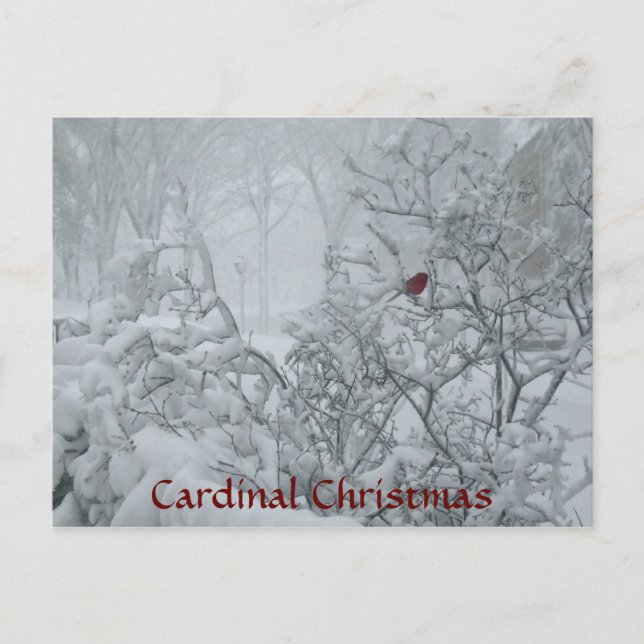 Postal Festiva Navidades cardinales (Anverso)