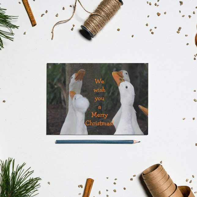 Postal Festiva Navidades Caroling White Ducks (In Situ)