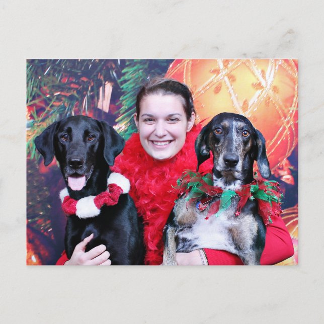 Postal Festiva Navidades - Catahoula Brita y Labrador Cooper (Anverso)