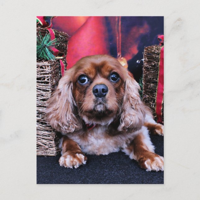 Postal Festiva Navidades - Cavalier - Cooper (Anverso)