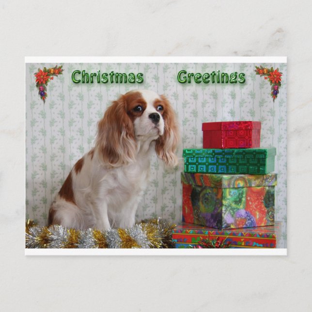 Postal Festiva Navidades Cavalier de Blenheim (Anverso)