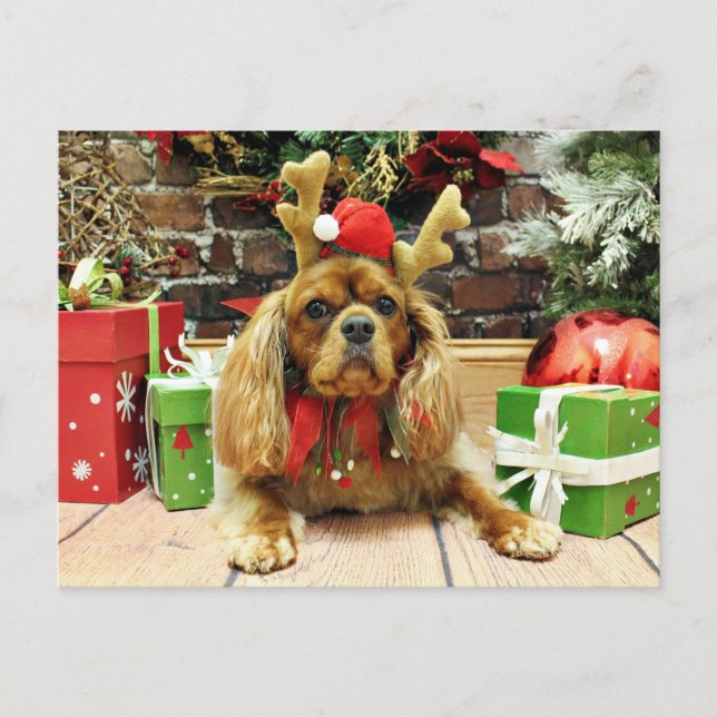 Postal Festiva Navidades - Cavalier King Charles Spaniel - Meyers (Anverso)