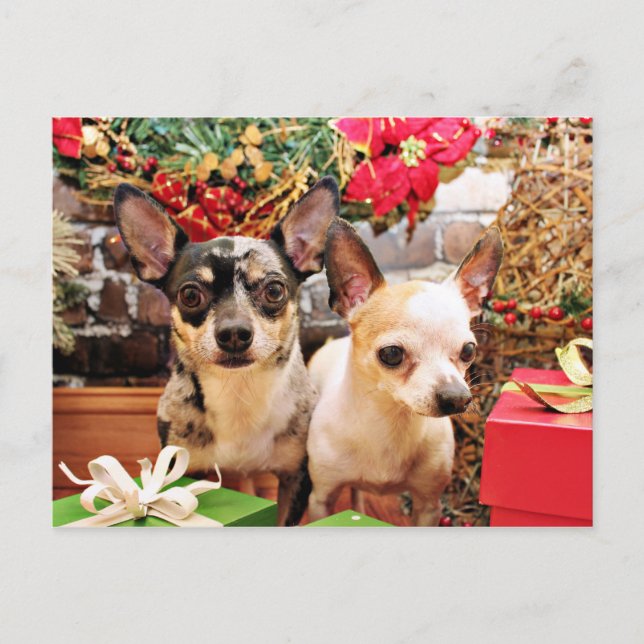 Postal Festiva Navidades - Chihuahua - Gordy y Pedro (Anverso)