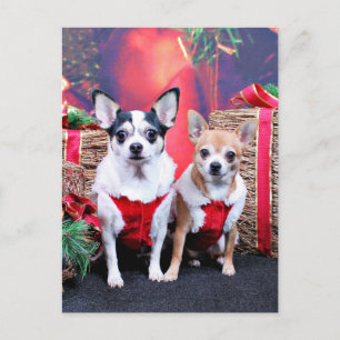 Postal Festiva Navidades - Chihuahua - Moo Moo y Ginger