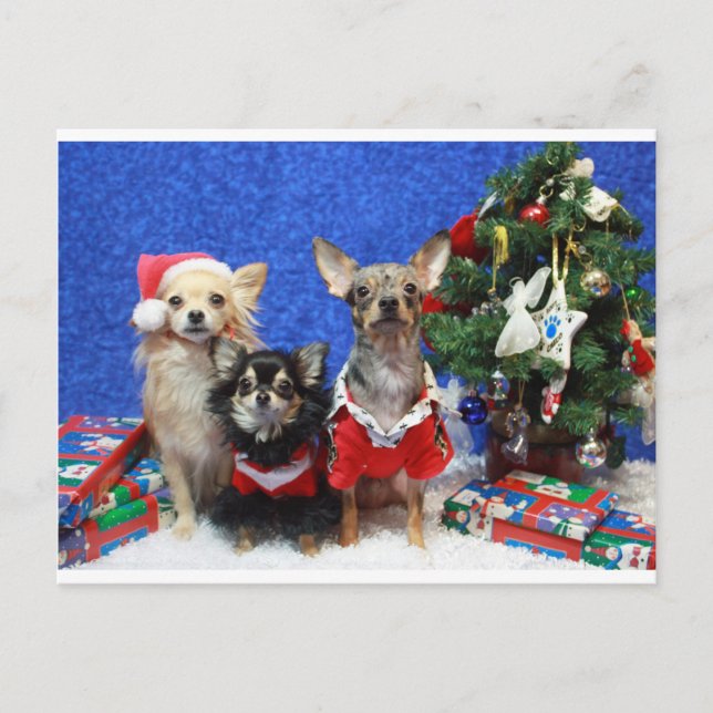 Postal Festiva Navidades Chihuahuas (Anverso)