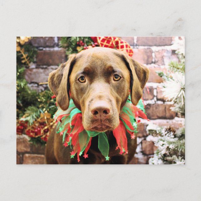 Postal Festiva Navidades - Chocolate Labrador - Hershey (Anverso)