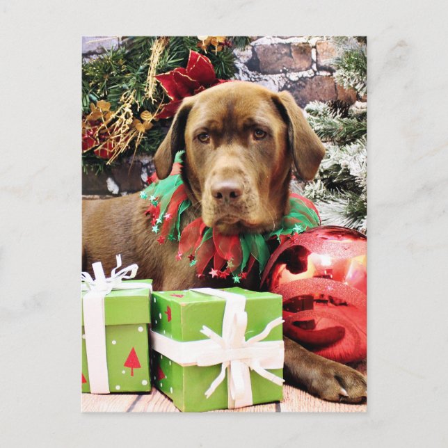 Postal Festiva Navidades - chocolate Labrador - Zena (Anverso)
