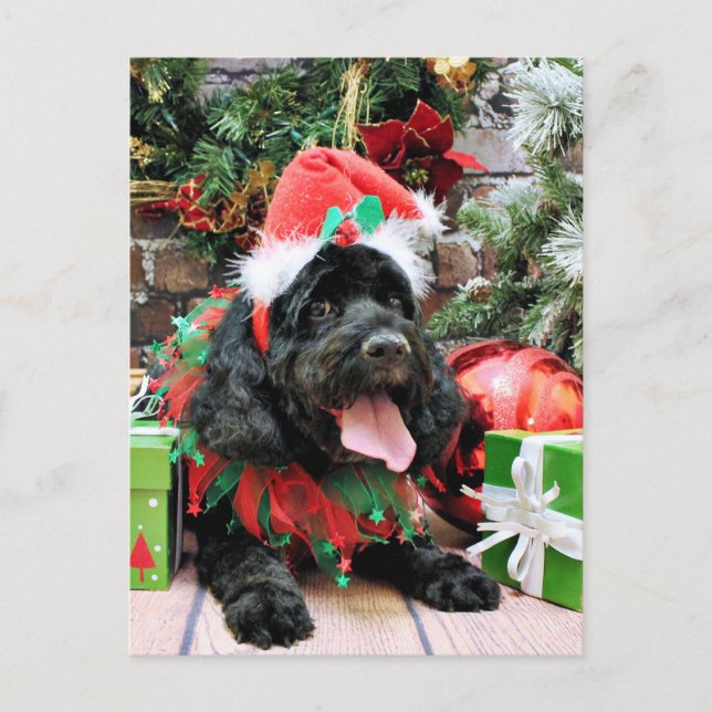 Postal Festiva Navidades - Cockapoo - Jack (Anverso)