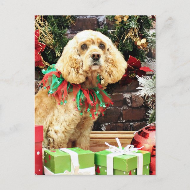 Postal Festiva Navidades - Cocker Spaniel - Maggie (Anverso)