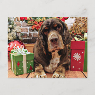 Postal Festiva Navidades - Cocker Spaniel - Remmy