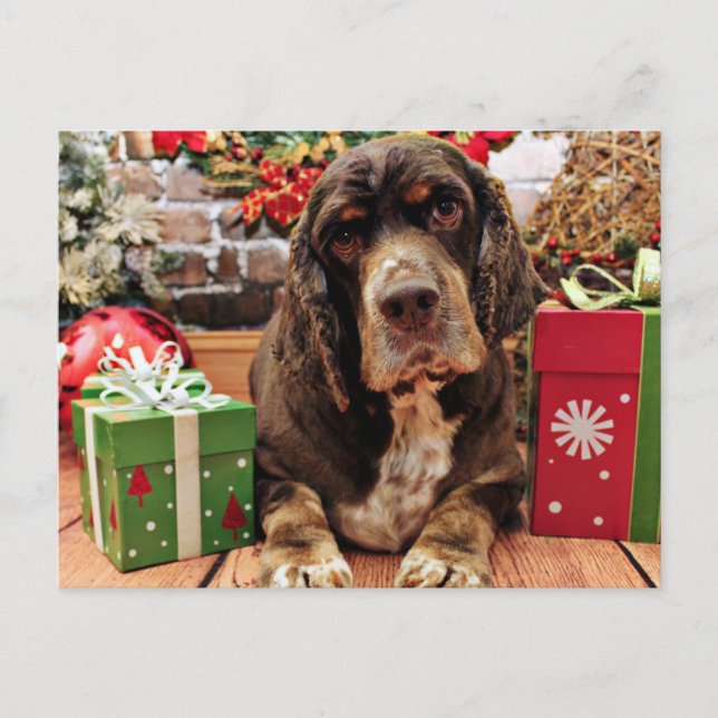 Postal Festiva Navidades - Cocker Spaniel - Remmy (Anverso)