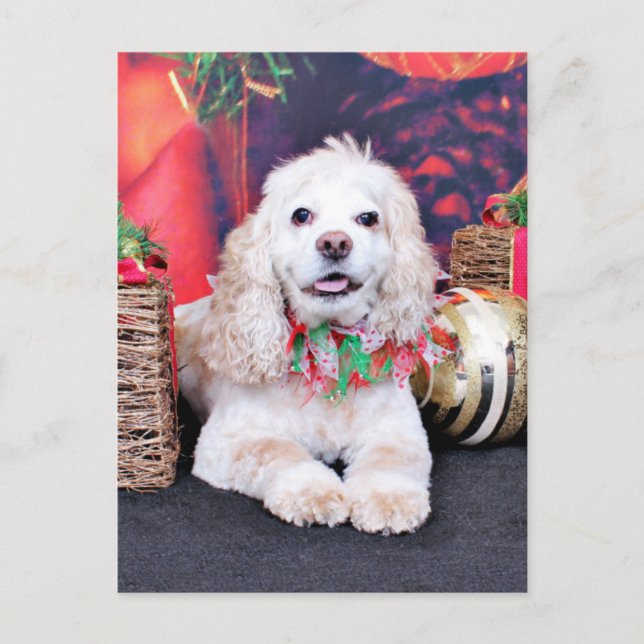 Postal Festiva Navidades - Cocker Spaniel - Sammy (Anverso)