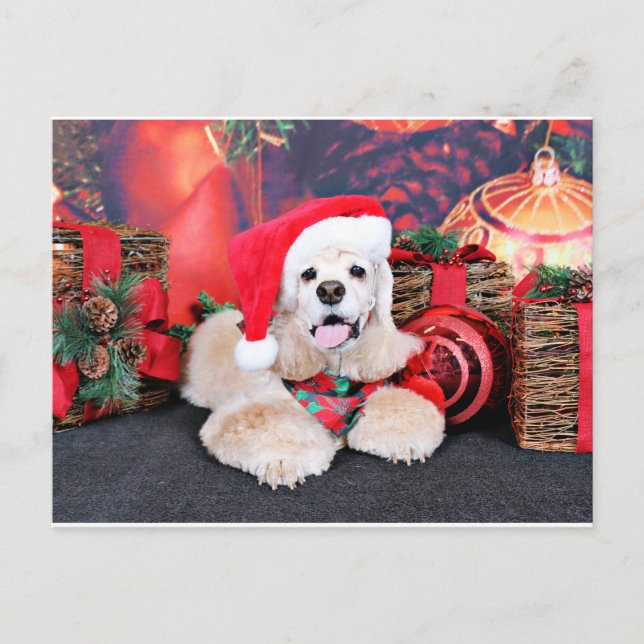 Postal Festiva Navidades - Cocker Spaniel - Tobey (Anverso)