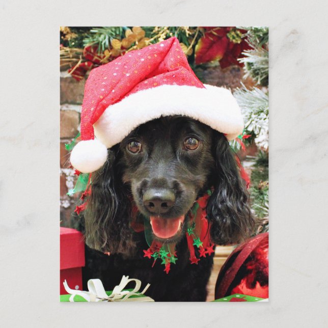Postal Festiva Navidades - Cocker Spaniel X - Pepper (Anverso)