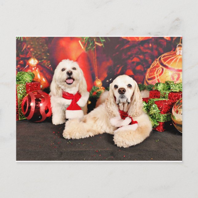 Postal Festiva Navidades - Cocker - Toby, Havanese - Little T (Anverso)
