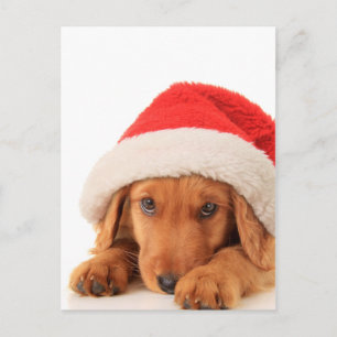 Postal Festiva Navidades Con Un Sombrero