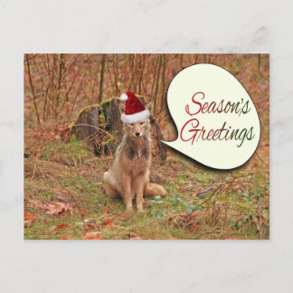 Postal Festiva Navidades Coyote