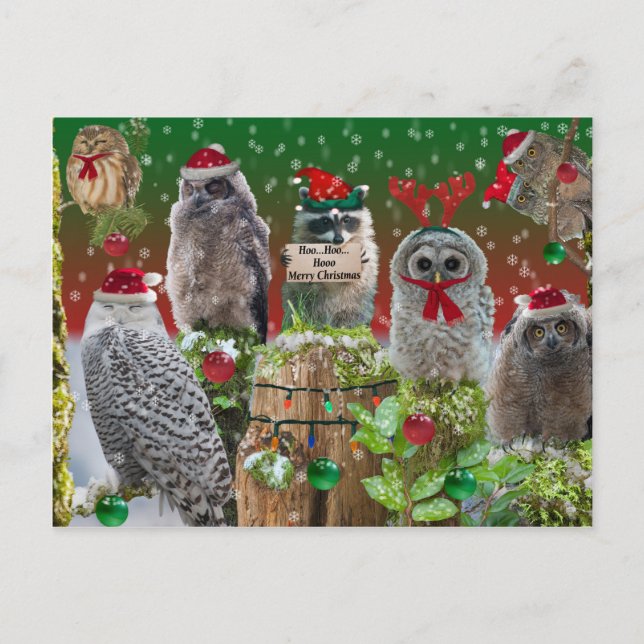 Postal Festiva Navidades Critters Owls y Raccoon (Anverso)