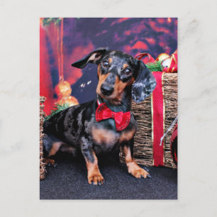 Postal Festiva Navidades - Dachshund - Buddy