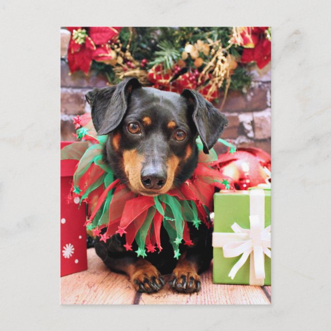 Postal Festiva Navidades - Dachshund - Tanner (Anverso)