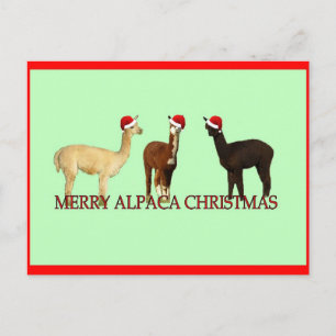 Postal Festiva Navidades de Alpaca