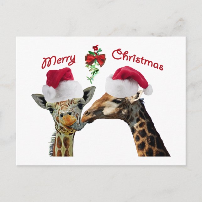 Postal Festiva Navidades de besos jirafas bajo Mistletoe (Anverso)