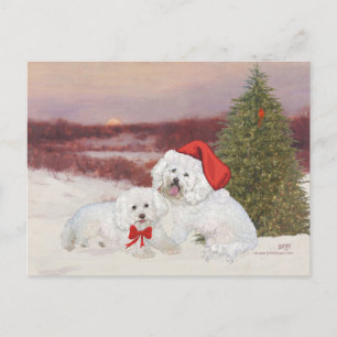 Postal Festiva Navidades de Bichon Frise