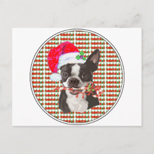Postal Festiva Navidades de Boston Terrier