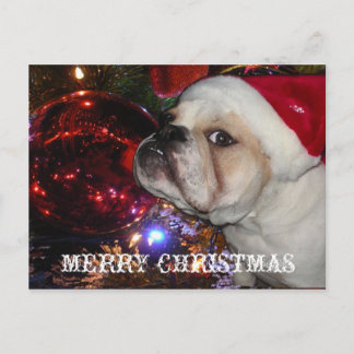 Postal Festiva Navidades de Bulldog de Inglaterra