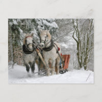 Navidades de Caballos Borradores