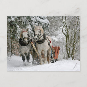 Postal Festiva Navidades de Caballos Borradores