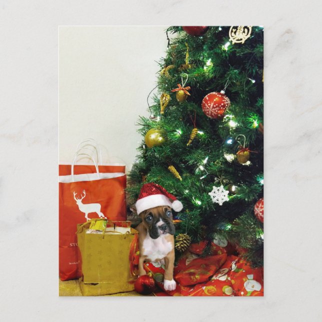 Postal Festiva Navidades de cachorro (Anverso)