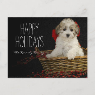 Postal Festiva Navidades de cachorro sentados en una cesta